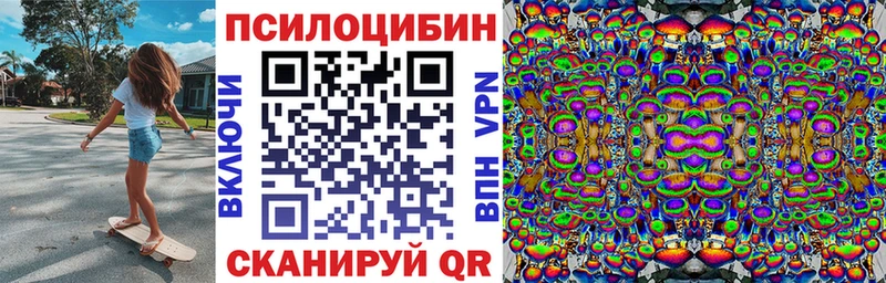где купить наркотик  Тула  Галлюциногенные грибы Psilocybine cubensis 